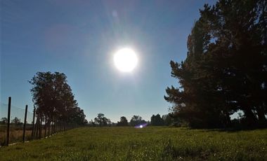 Parcela en Puerto Nuevo $35.000.000.-