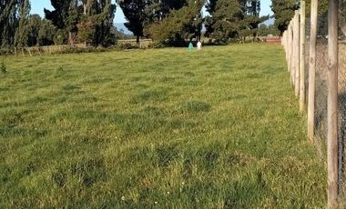 Parcela en Puerto Nuevo $35.000.000.-