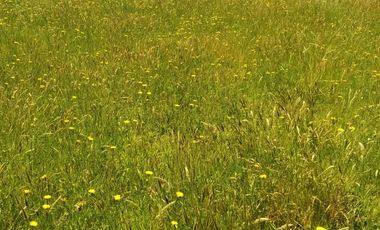 Parcela en Puerto Nuevo $35.000.000.-