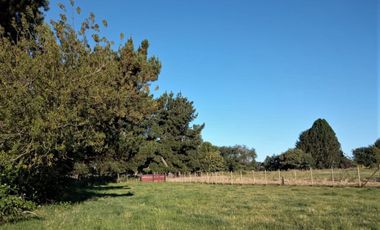 Parcela en Puerto Nuevo $35.000.000.-