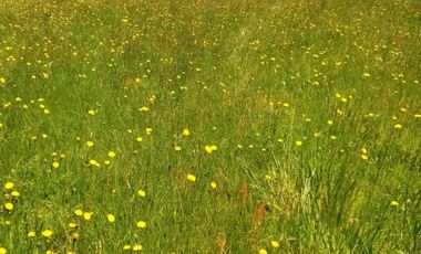 Parcela en Puerto Nuevo $35.000.000.-