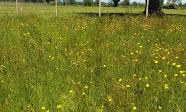 Parcela en Puerto Nuevo $35.000.000.-