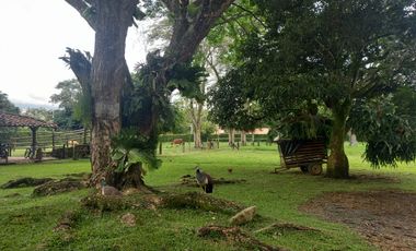 FINCA O CASA CAMPESTRE POTERITO