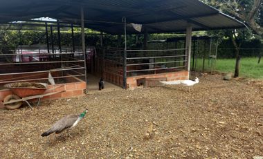 FINCA O CASA CAMPESTRE POTERITO