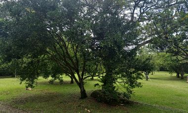 FINCA O CASA CAMPESTRE POTERITO