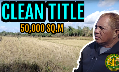 Lot for sale 50,000 sqm clean title Tuburan Ubay Bohol 250/sqm negotiable