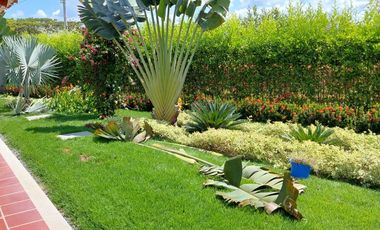 LOTE Y FINCA EN ROZO