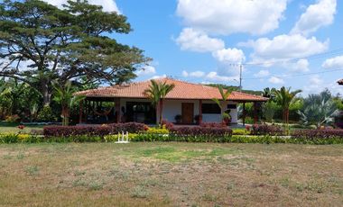 LOTE Y FINCA EN ROZO
