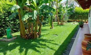 LOTE Y FINCA EN ROZO