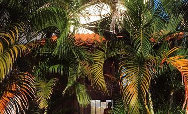 Casa arrocito cosmo