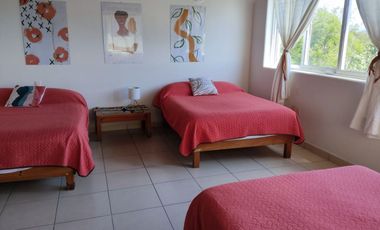 Casa arrocito cosmo