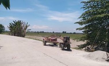 1,000 hectares of prime agricultural land await in the heart of Nueva Ecija!