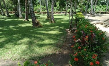 ** Beautiful 5416 sqm ( .54 hector ) ( 1.3 acres ) Property, House & Buildings **