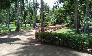 ** Beautiful 5416 sqm ( .54 hector ) ( 1.3 acres ) Property, House & Buildings **
