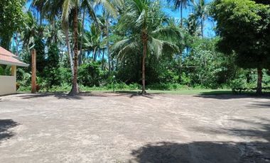 ** Beautiful 5416 sqm ( .54 hector ) ( 1.3 acres ) Property, House & Buildings **