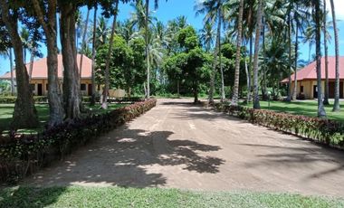 ** Beautiful 5416 sqm ( .54 hector ) ( 1.3 acres ) Property, House & Buildings **