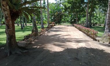 ** Beautiful 5416 sqm ( .54 hector ) ( 1.3 acres ) Property, House & Buildings **