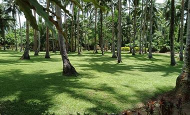 ** Beautiful 5416 sqm ( .54 hector ) ( 1.3 acres ) Property, House & Buildings **