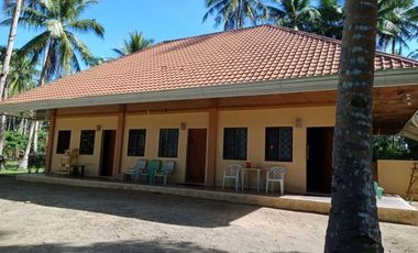 ** Beautiful 5416 sqm ( .54 hector ) ( 1.3 acres ) Property, House & Buildings **