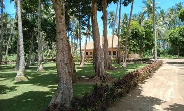 ** Beautiful 5416 sqm ( .54 hector ) ( 1.3 acres ) Property, House & Buildings **