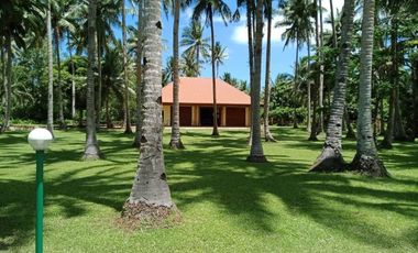 ** Beautiful 5416 sqm ( .54 hector ) ( 1.3 acres ) Property, House & Buildings **