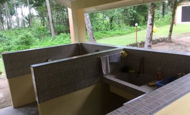 ** Beautiful 5416 sqm ( .54 hector ) ( 1.3 acres ) Property, House & Buildings **