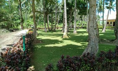 ** Beautiful 5416 sqm ( .54 hector ) ( 1.3 acres ) Property, House & Buildings **