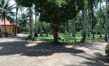 ** Beautiful 5416 sqm ( .54 hector ) ( 1.3 acres ) Property, House & Buildings **