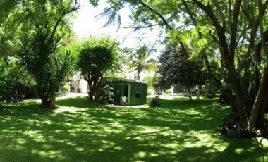 Jiutepec Pedregal De Las Fuentes Oportunidad , Alberca, Jacuzzi , Mini Fronton