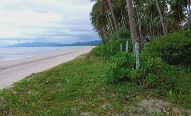 FOR SALE - Agricultural Vacant Lot in San Vicente, Palawan