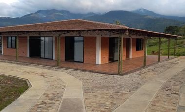 VENTA DE LOTES VEREDA CALIFORNIA LOS PATIOS