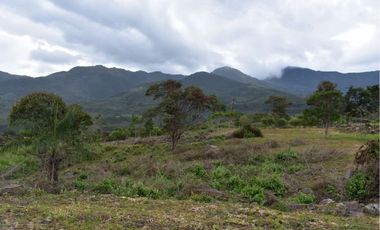 VENTA DE LOTES VEREDA CALIFORNIA LOS PATIOS