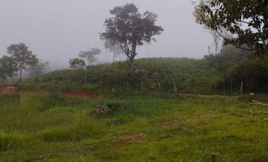 VENTA DE LOTES VEREDA CALIFORNIA LOS PATIOS