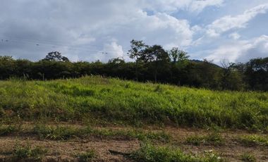 VENTA DE LOTES VEREDA CALIFORNIA LOS PATIOS
