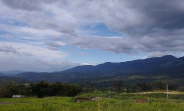 VENTA DE LOTES VEREDA CALIFORNIA LOS PATIOS
