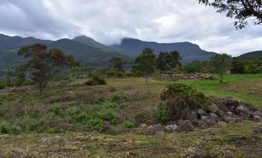VENTA DE LOTES VEREDA CALIFORNIA LOS PATIOS