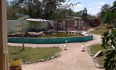 Se vende Granja ubicada en Tixkuncheil,Yucatán