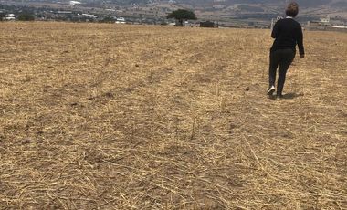 EXCELENTE TERRENO EN IXTAPALUCA ESTADO DE MEXICO