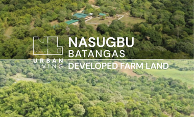 Nasugbu Batangas Developed Farm Lot