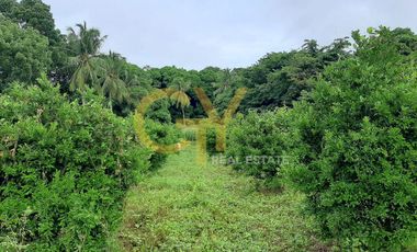 2 Storey House&Lot for Sale Mabitac, Laguna