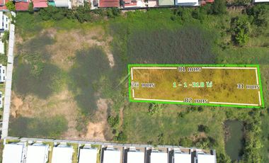 land for sale 531.8 square wah, Soi Pak Khlong Lam Ri Mosque, Lahan, Bang Bua Thong.