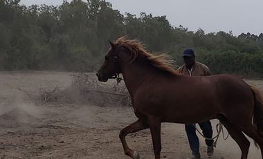 OCASIÓN: VENTA DE LINDA Y ACOGEDORA CASA EN CHINCHA