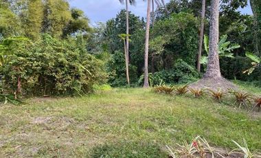 Lot for Sale in Lemery, Batangas