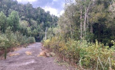 Parcela en Parque Alerce Andino