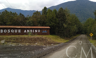 Parcela en Parque Alerce Andino