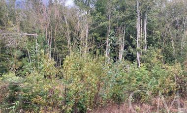 Parcela en Parque Alerce Andino