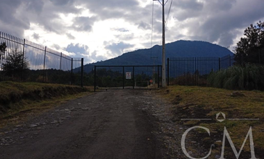 Parcela en Parque Alerce Andino