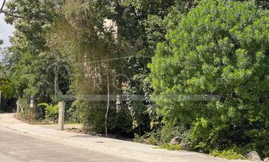 VERDADERA OPORTUNIDAD TERRENO ALDEA UMM