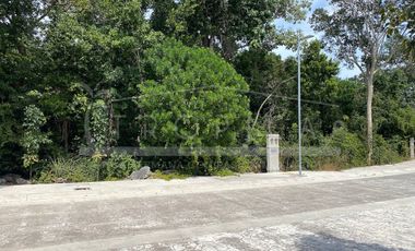 VERDADERA OPORTUNIDAD TERRENO ALDEA UMM