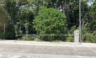 VERDADERA OPORTUNIDAD TERRENO ALDEA UMM